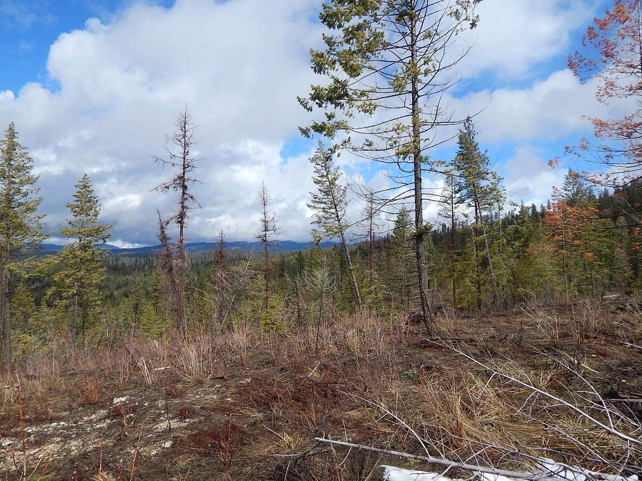 NNA Jackson Rd - Photo 1