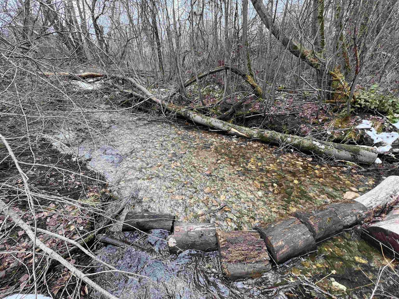 TBD Immel Rd - Photo 1
