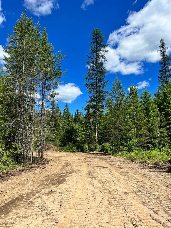 000-Lot 27 Bead Lake Rd - Photo 1