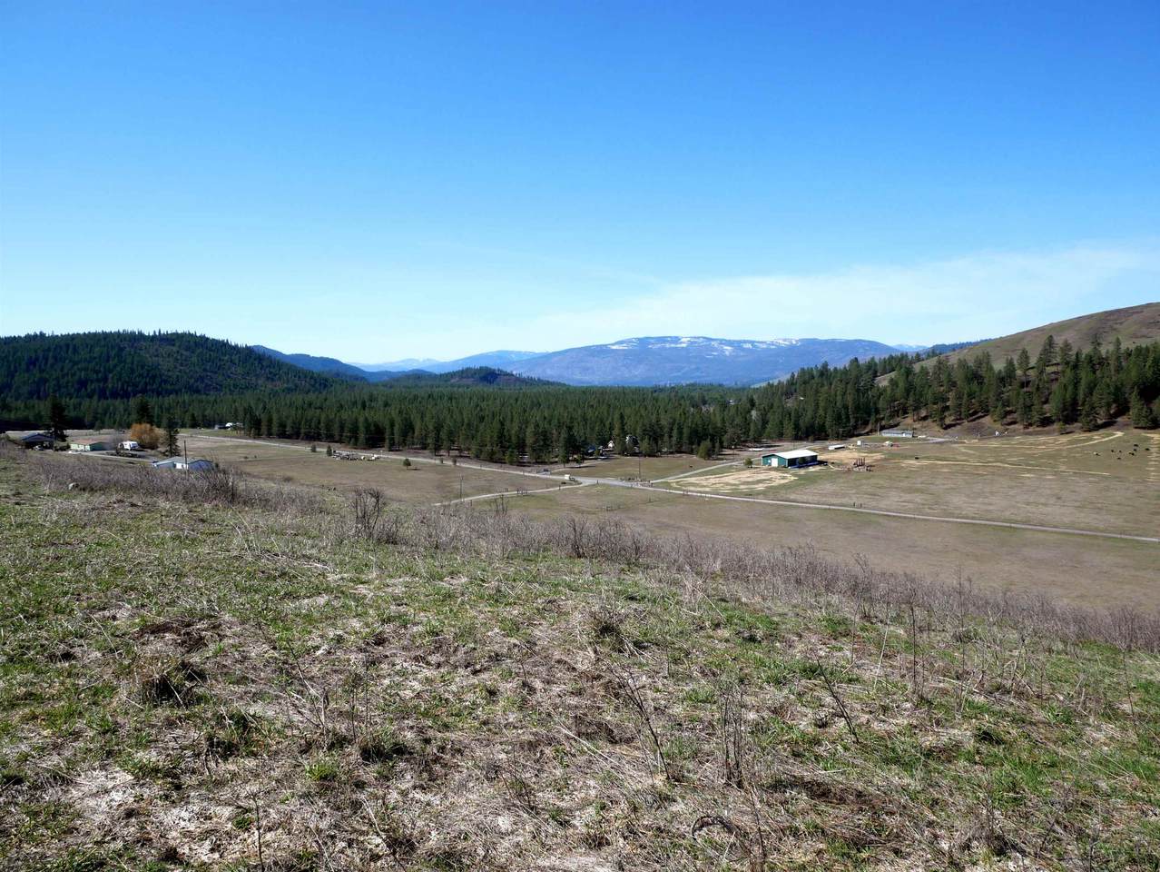 TBD Pritchard Rd - Photo 1