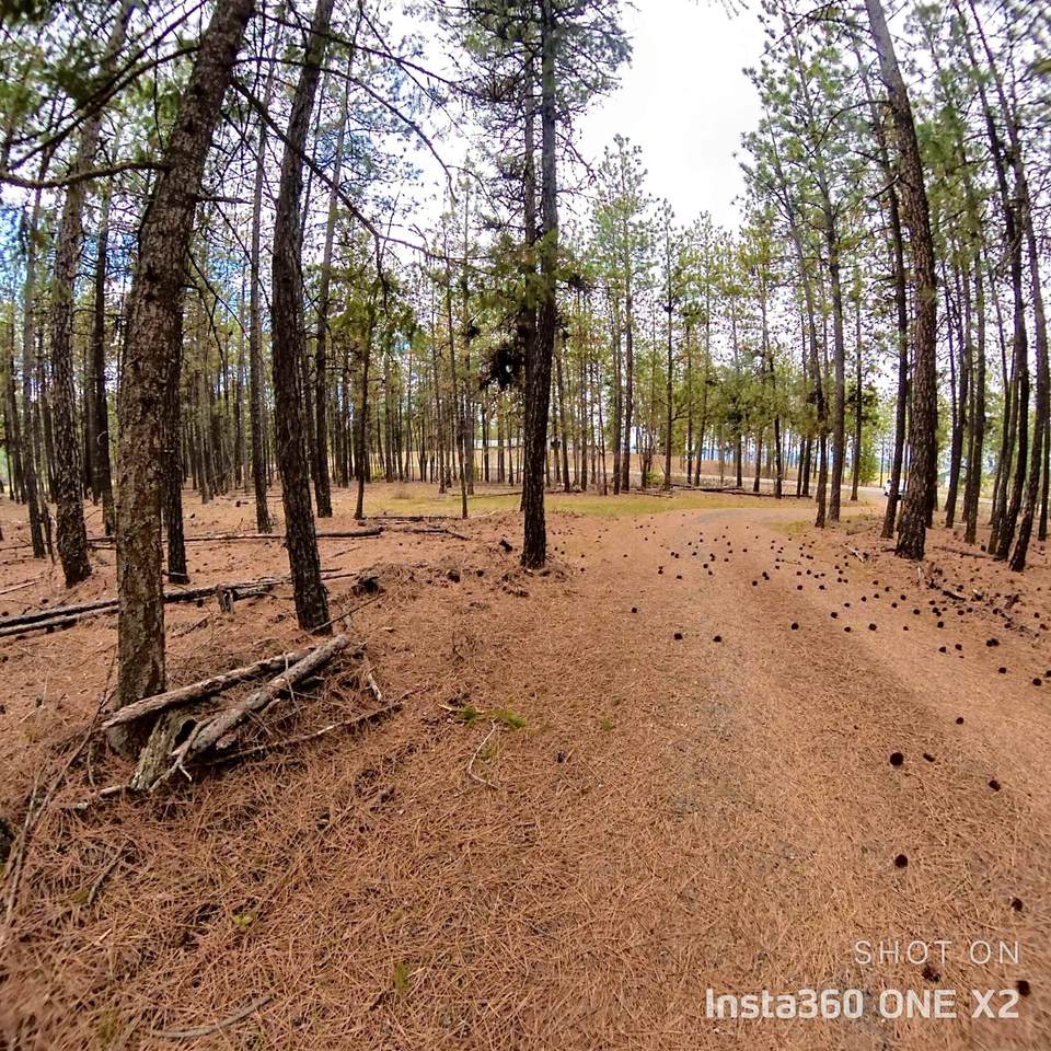 25815 Long Lake Rd - Photo 1