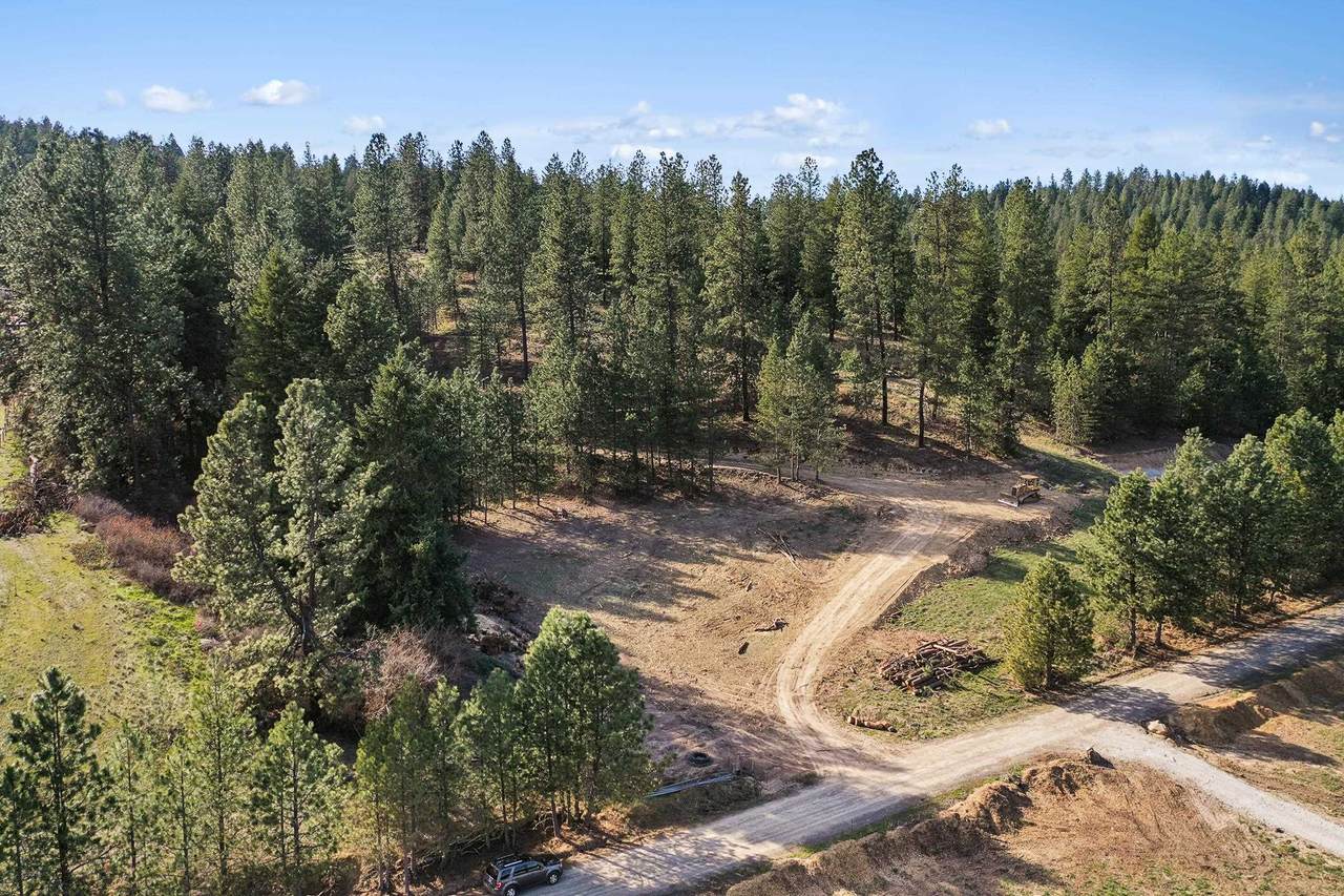 16317 Halliday Ln - Photo 1
