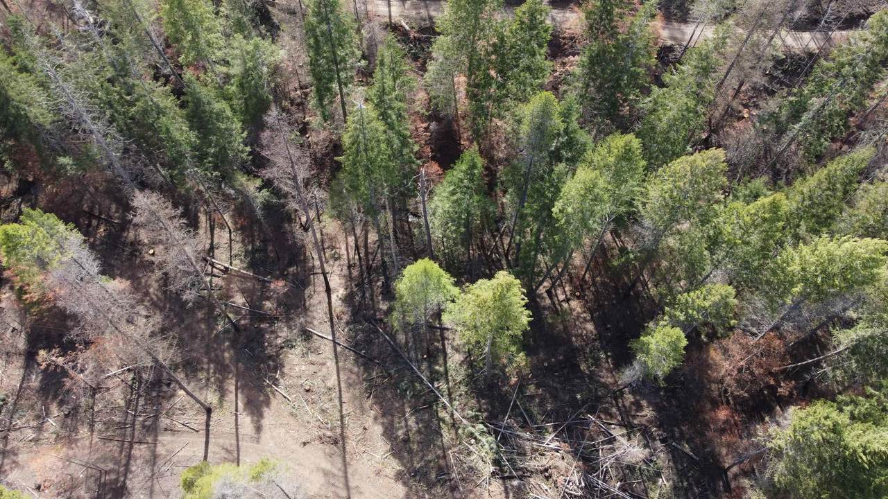 NKA Rail Canyon Lot 11 Rd - Photo 1