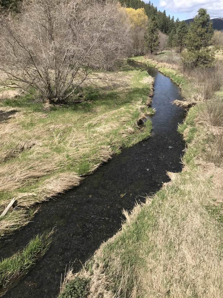 0 Hawk Creek Rd - Photo 1