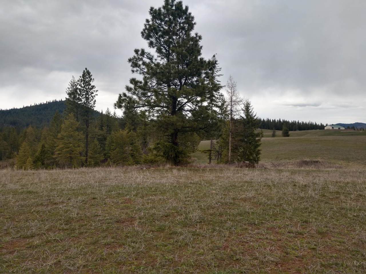 Lot E Olinger Rd Rd - Photo 1