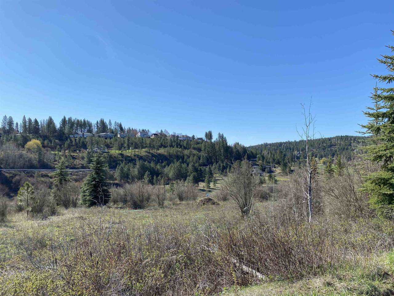 11425 Fairway Ridge Ln - Photo 1