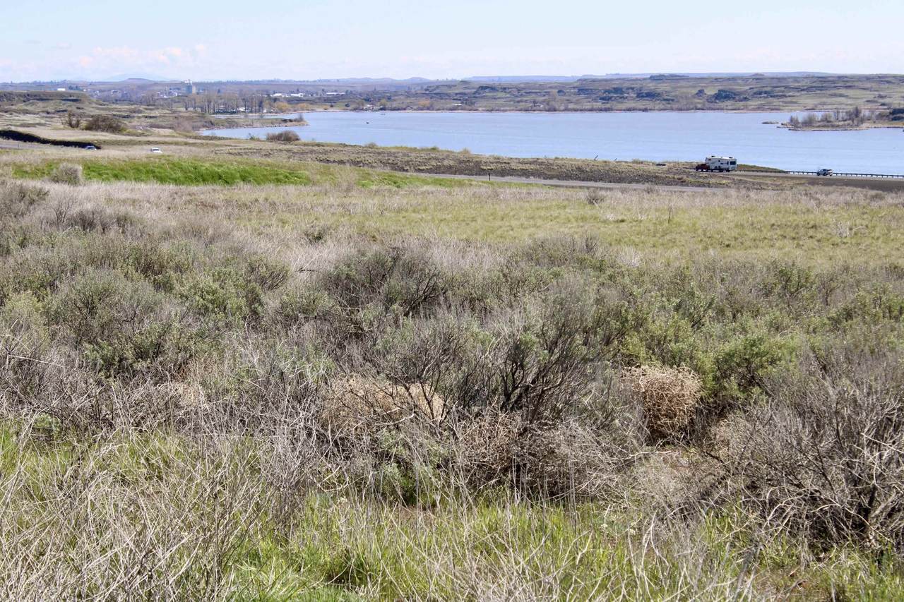 TBD Lake Rd E. Rd - Photo 1