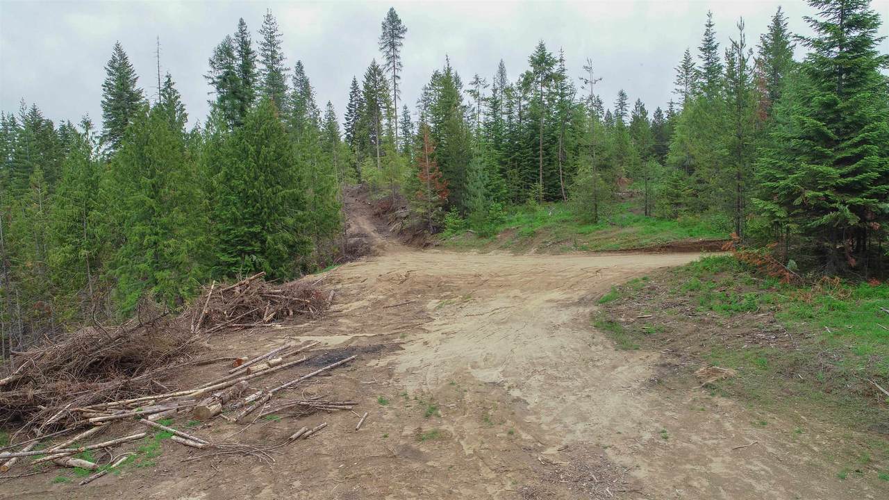 TBD Silver Birch Parcel C Rd - Photo 1