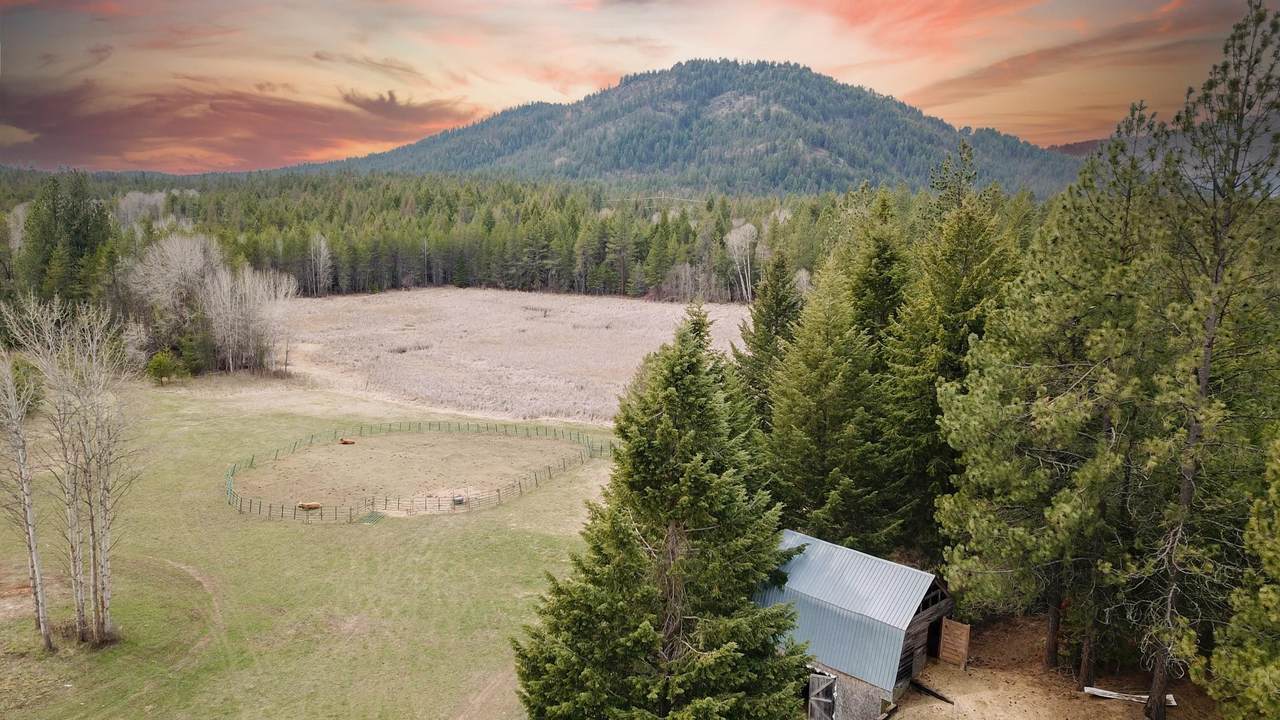 3801 Grouse Creek Rd - Photo 1