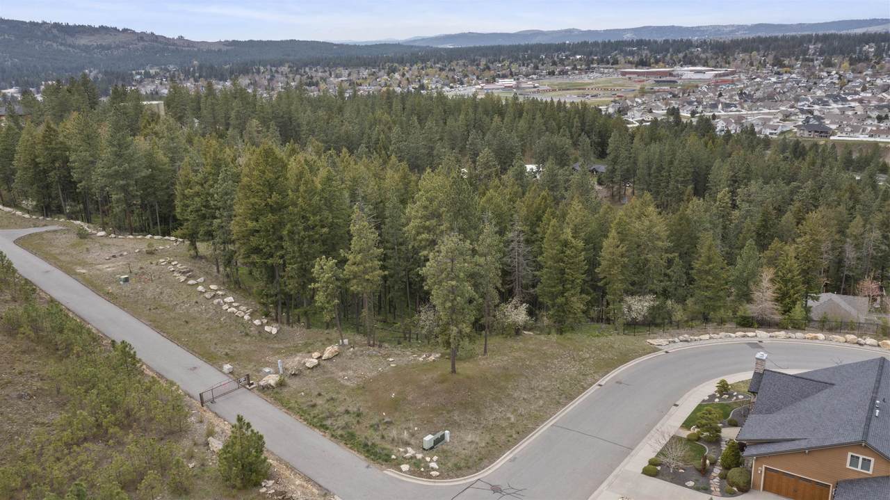 13129 Copper River Ln - Photo 1