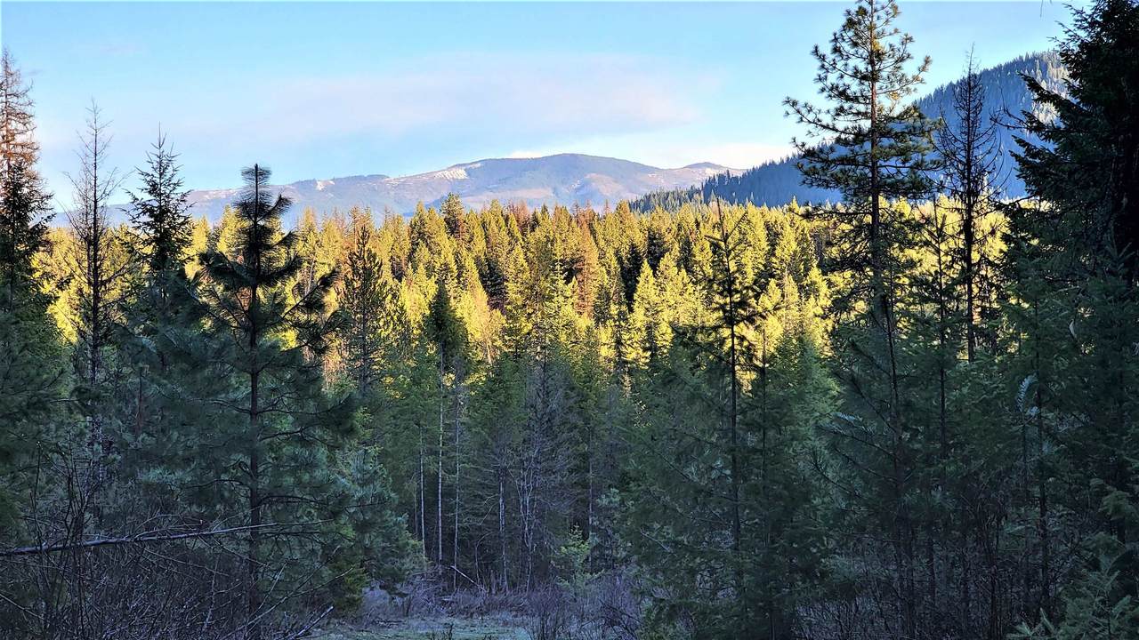 Lot 20 Misty Ridge Ln - Photo 1