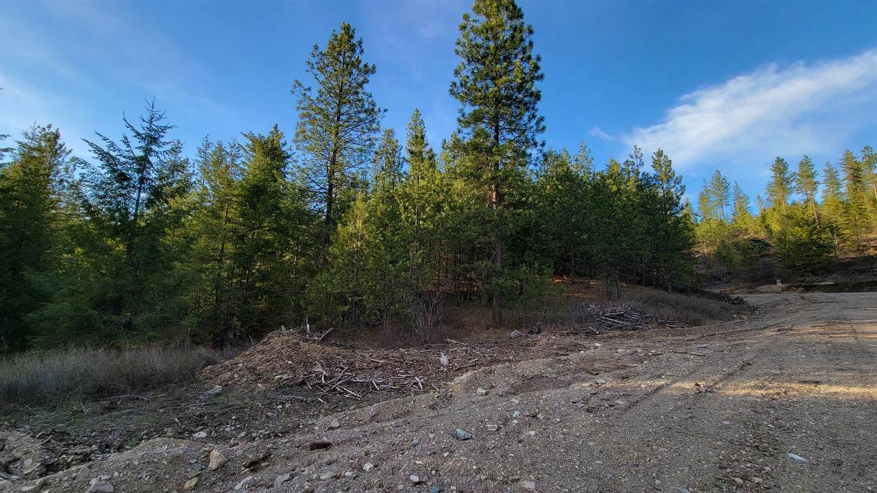 Lot 18 Misty Ridge Ln - Photo 1