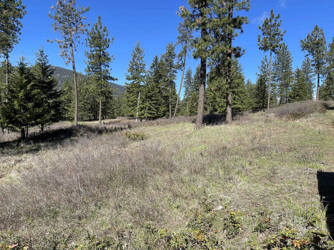 1950 Timber Ridge Way - Photo 1