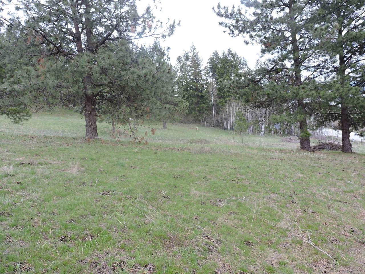 3474 D Waitts Lake Rd - Photo 1