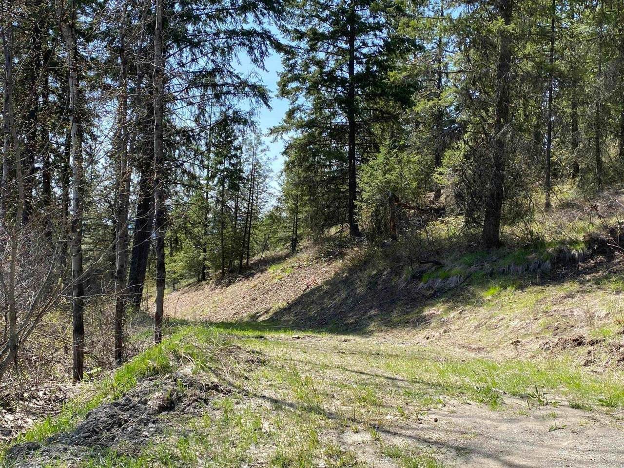 TBD Bonanza Hill Rd - Photo 1