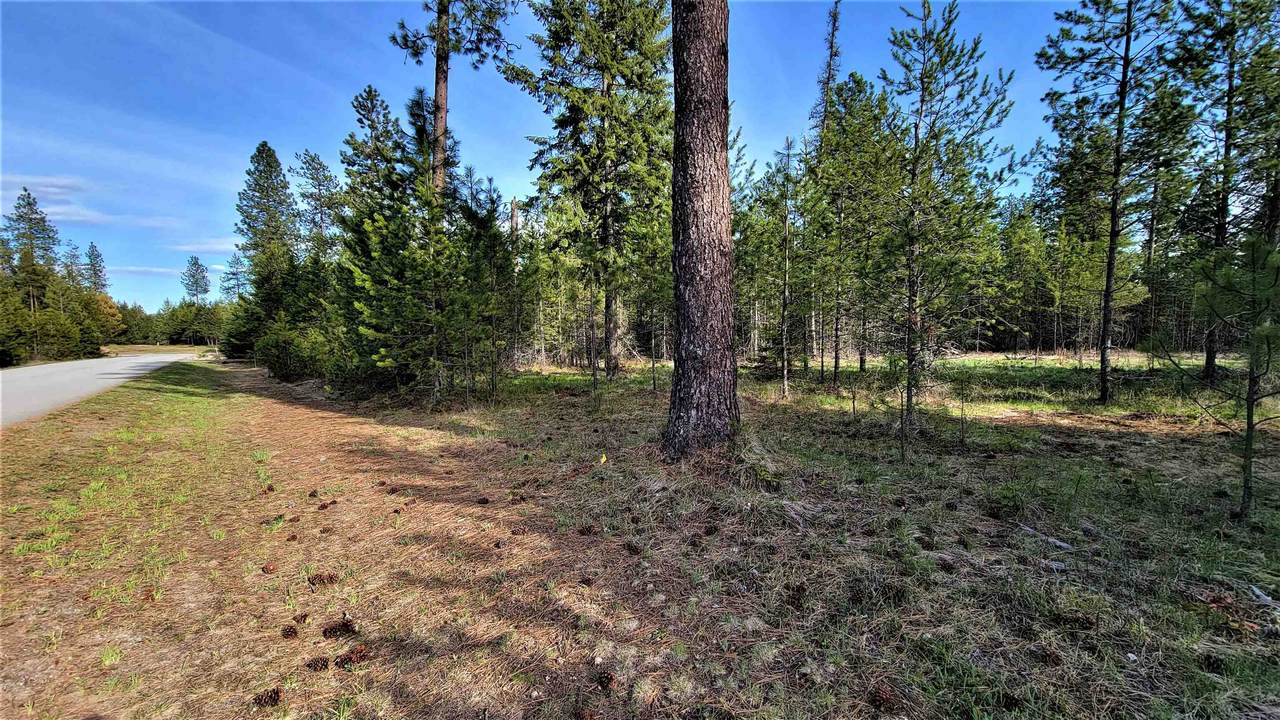 142 Glendale Dr - Photo 1
