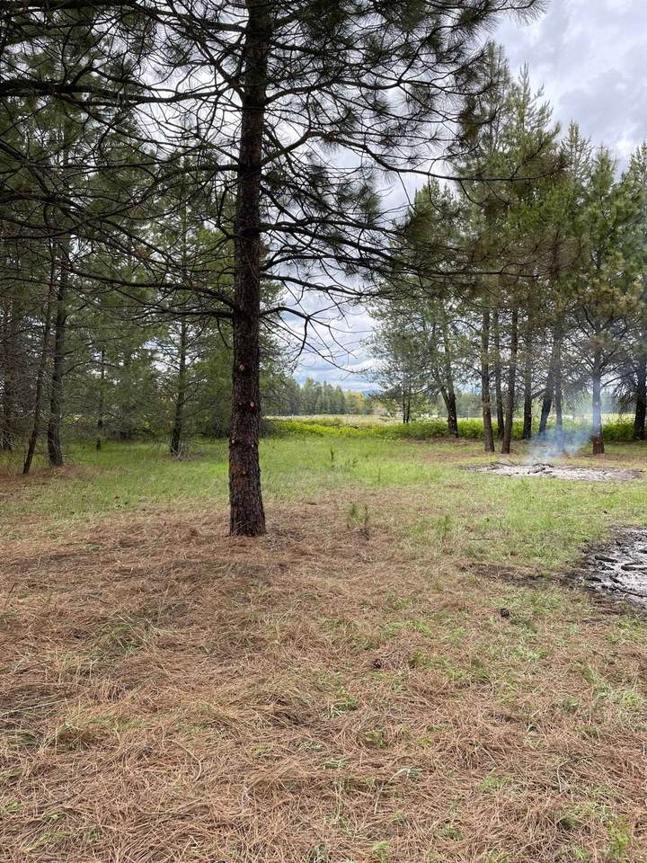 000-Lot 2 Owens Rd - Photo 1