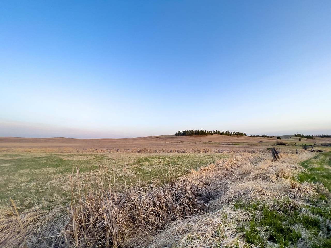 Lot 1 Nka Cheney Spangle Rd - Photo 1