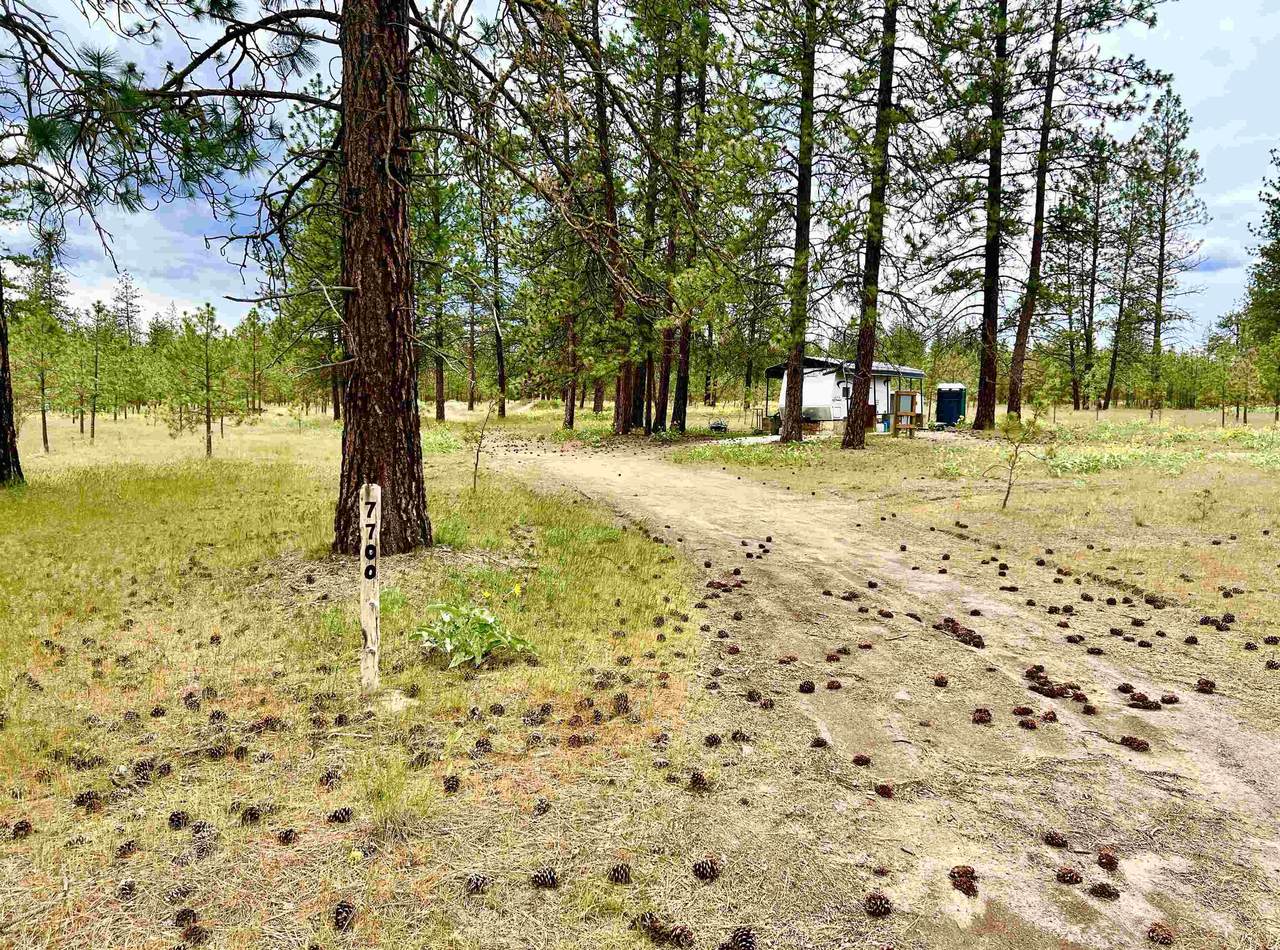 7700 Amy Lane Way - Photo 1