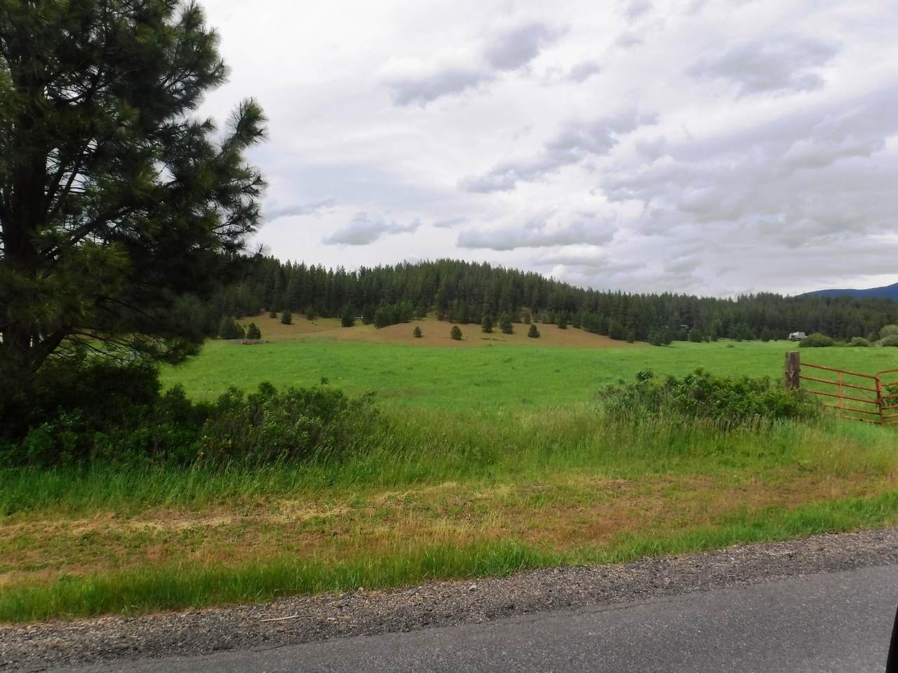 XX Woolard Rd - Photo 1