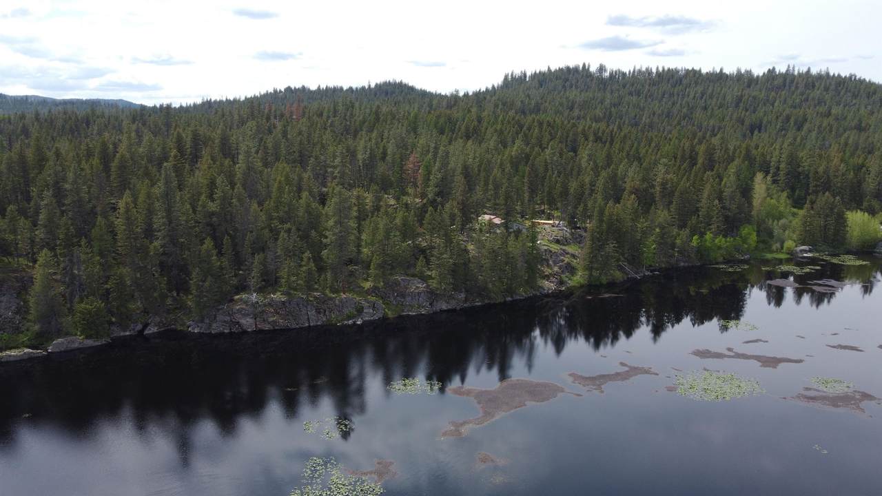 579 Blue Heron Rd Rd - Photo 1