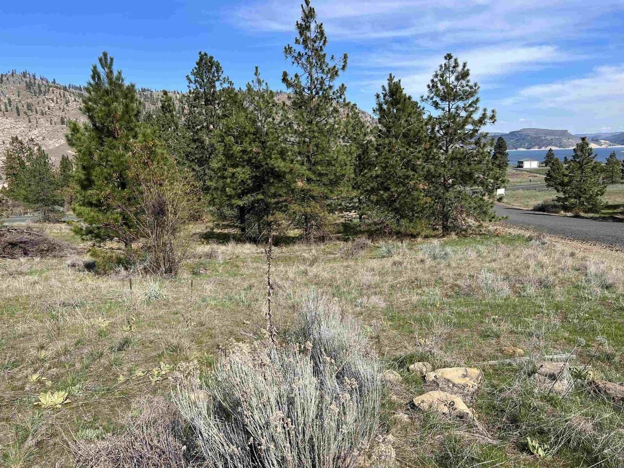 39915 Sterling Valley Rd - Photo 1