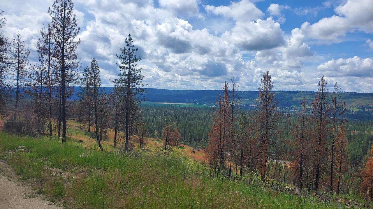 000 Pine Ridge (Tbd) Way - Photo 1