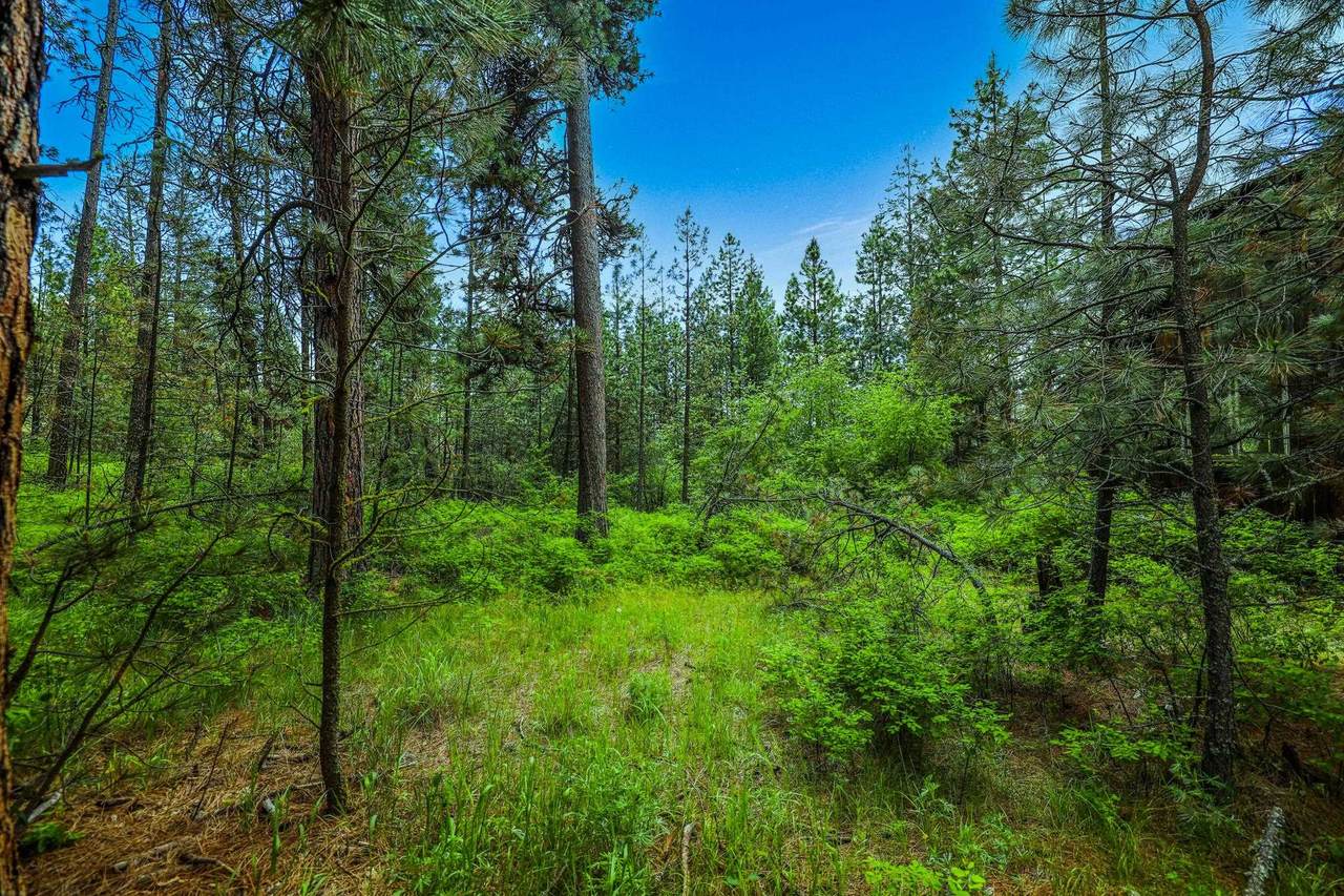 5881 C Carey Rd - Photo 1