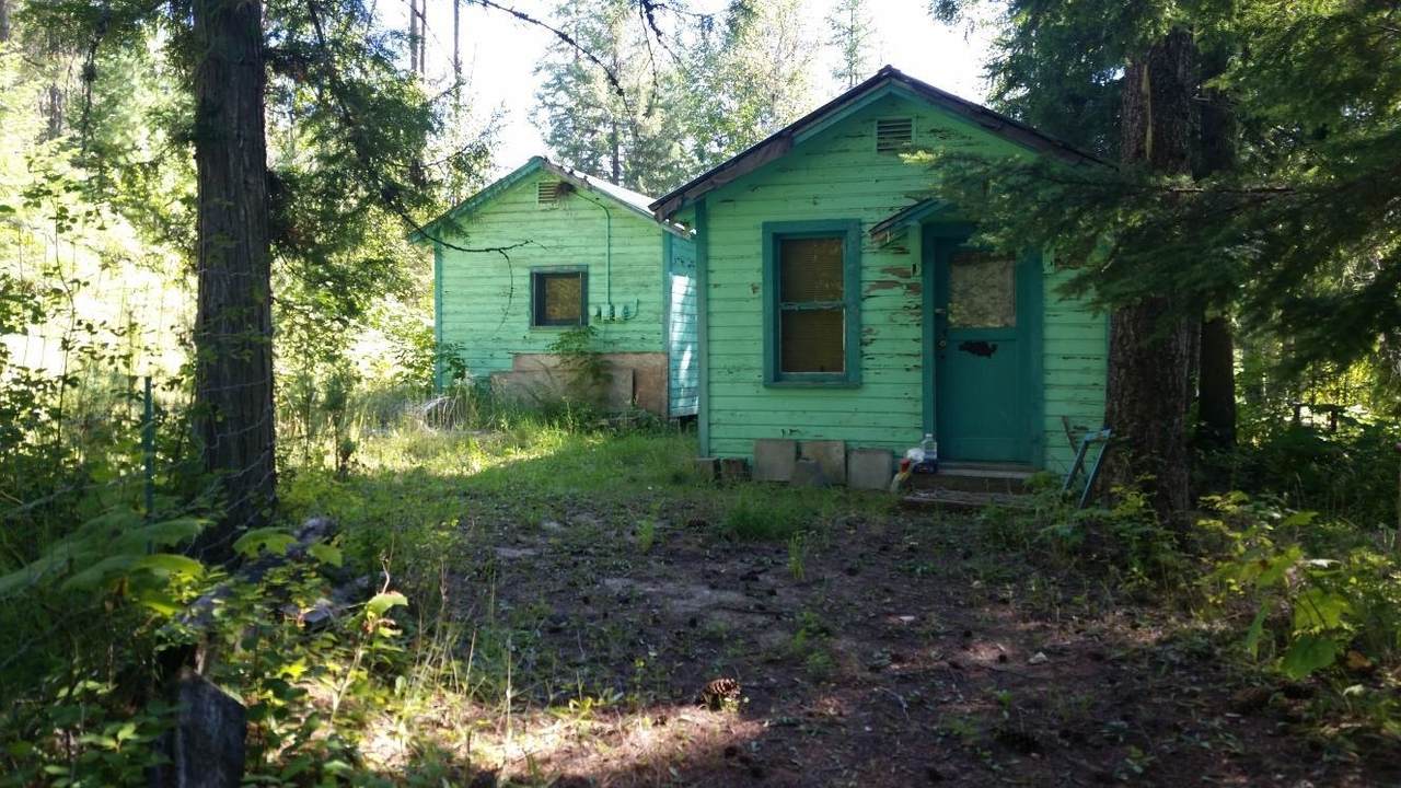 XX Cedar Creek Rd - Photo 1
