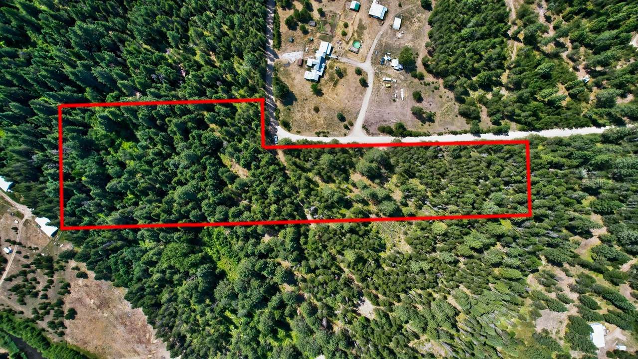 1901 Pines Rd - Photo 1