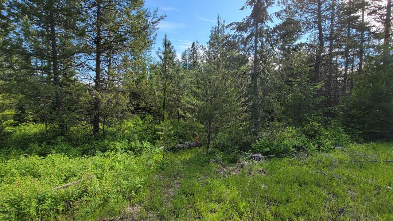 NKA Deer Valley Rd - Photo 1