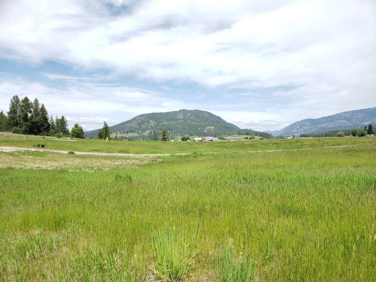 2037 Ringneck Loop - Photo 1
