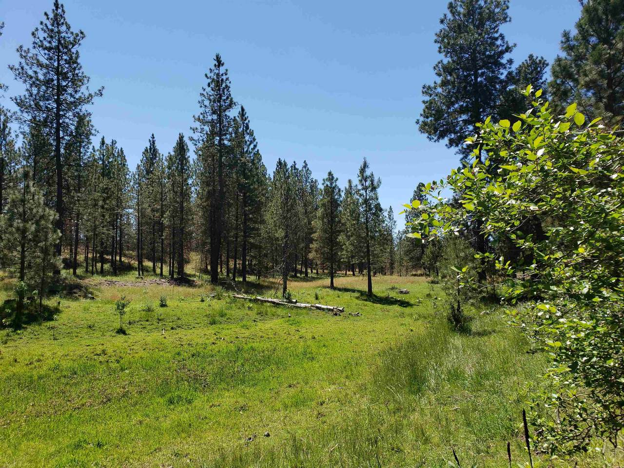 21407 Baker Rd - Photo 1