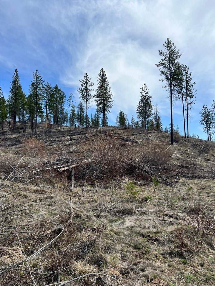 TBD-Lot 2 Coyote Canyon Rd - Photo 1