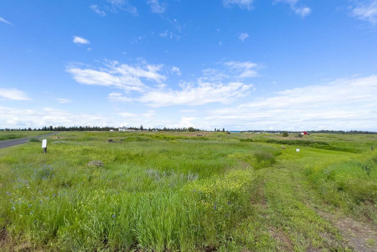 NKA Lance Hill Rd - Photo 1
