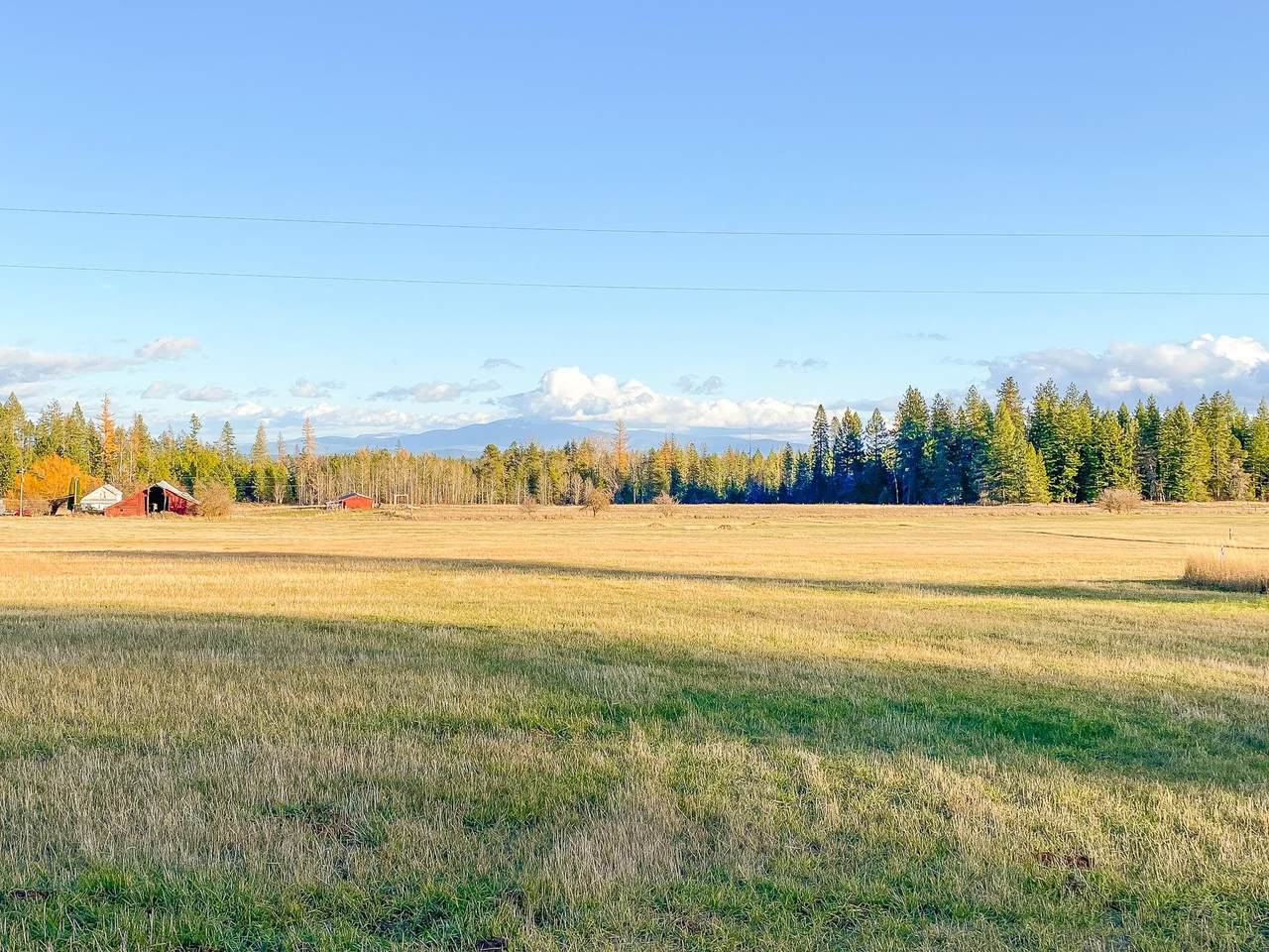 000x-Lot A Bellstar Rd - Photo 1