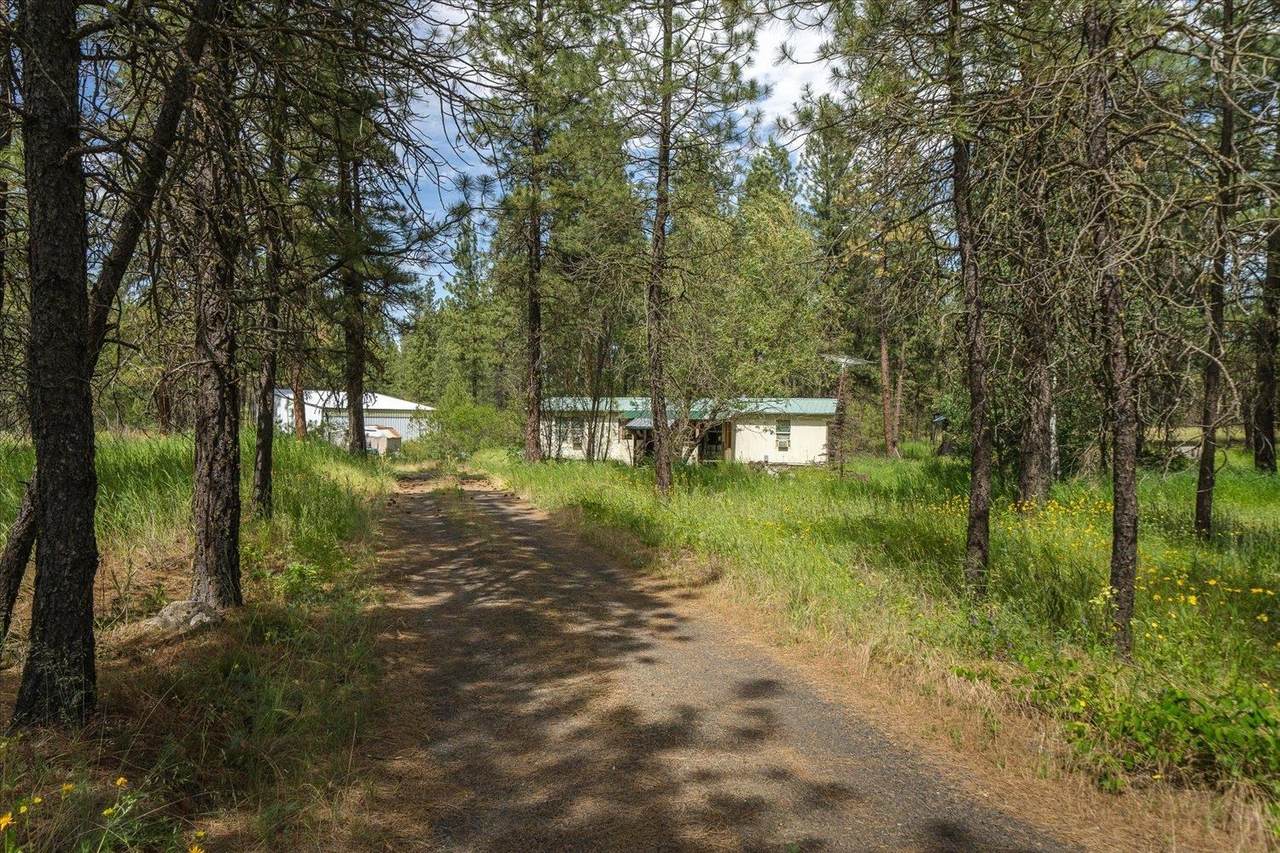 11612 Saddle Ln - Photo 1