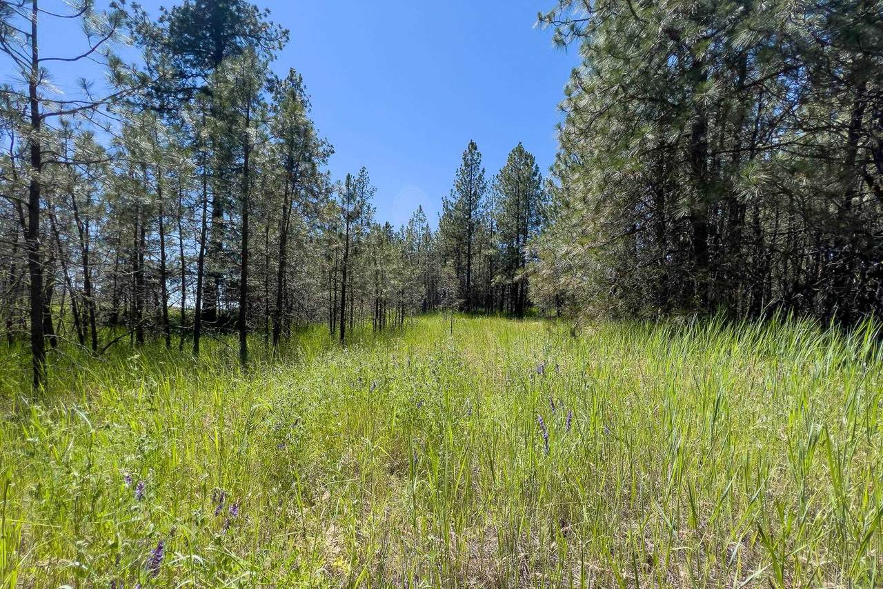 0-Lot D Ritchey Rd - Photo 1