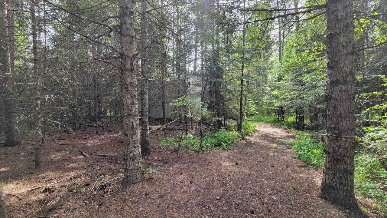 301 Davis Rd - Photo 1