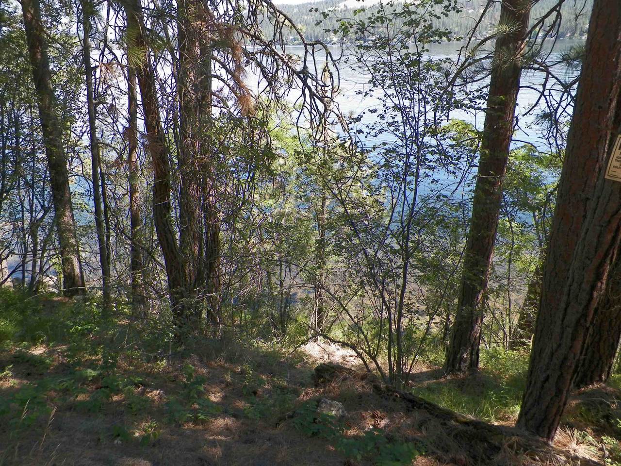 1903 Liberty Dr - Photo 1