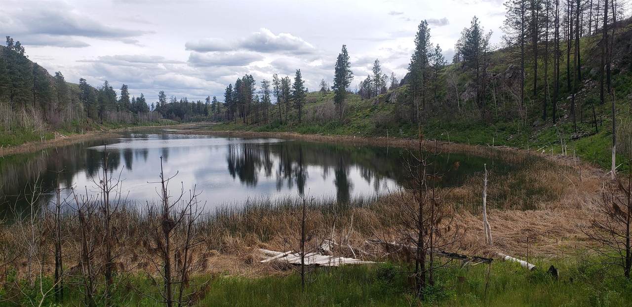 NKA Madd Mountain Rd - Photo 1