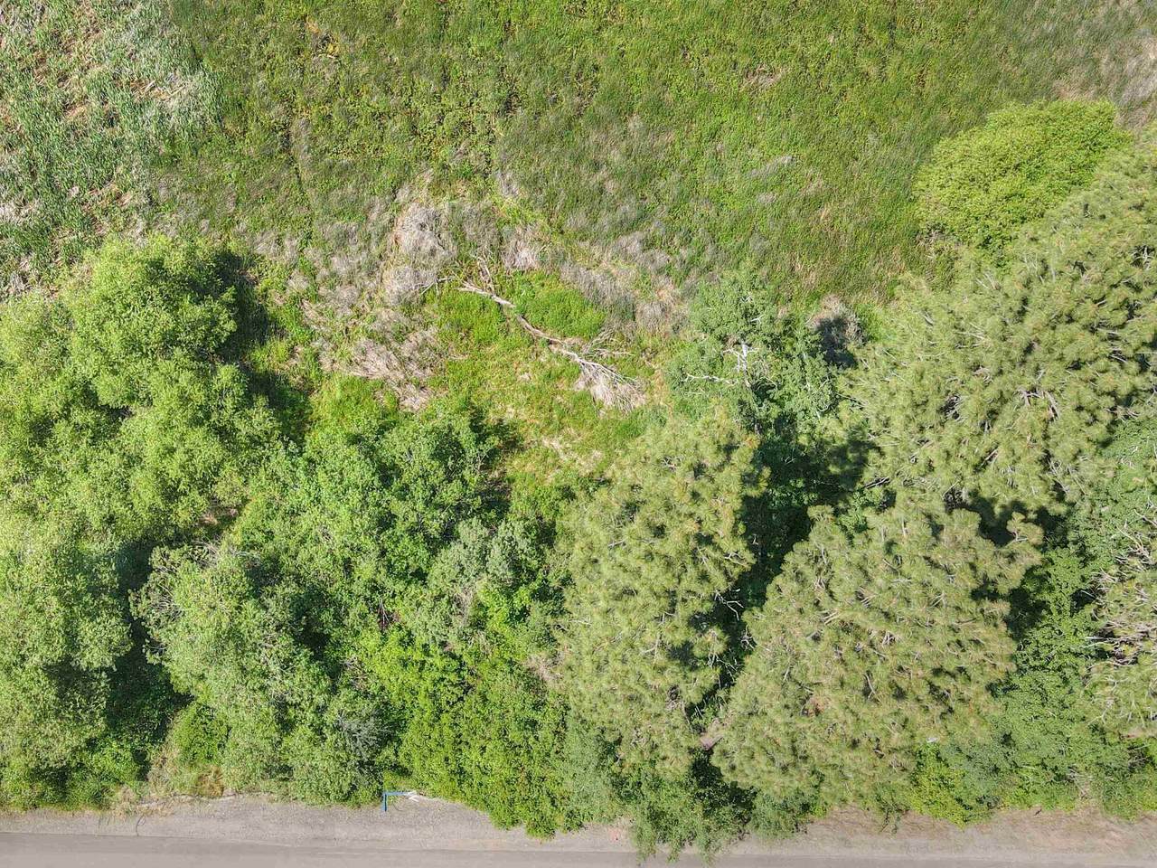 125XX Clear Lake Rd - Photo 1