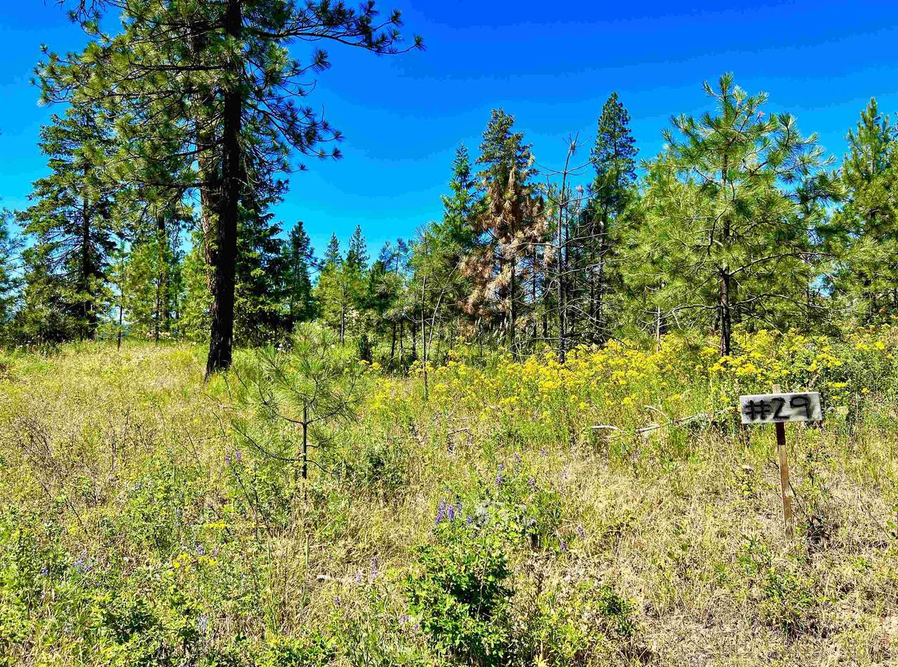 1649-(Lot 29) Palmer Loop - Photo 1