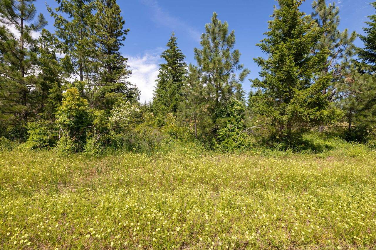 4702 Lot 2 Furzee Rd - Photo 1