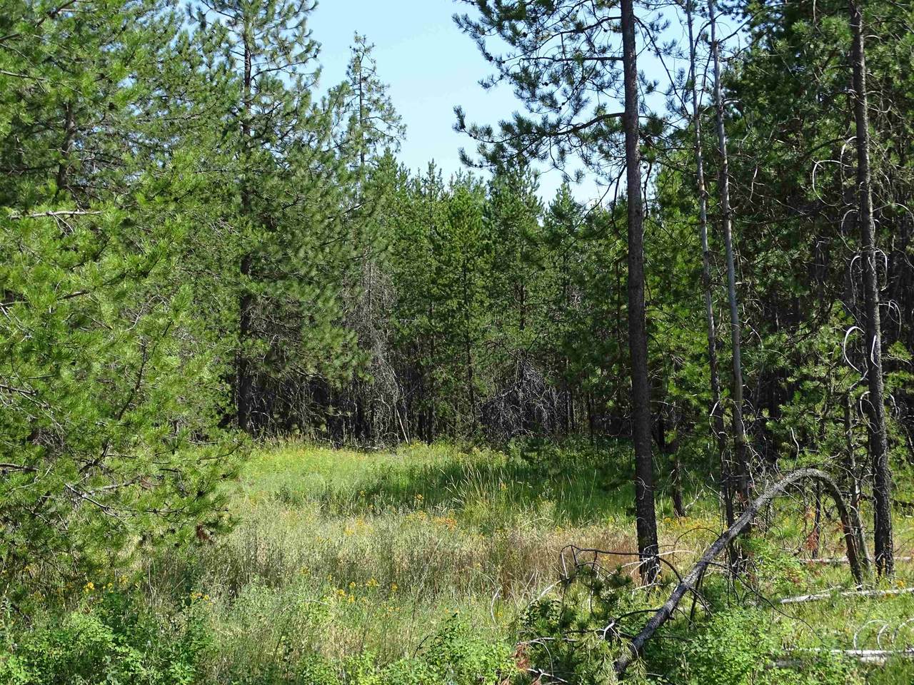 NNA-Parcel# 39193.01 Finley Ln - Photo 1