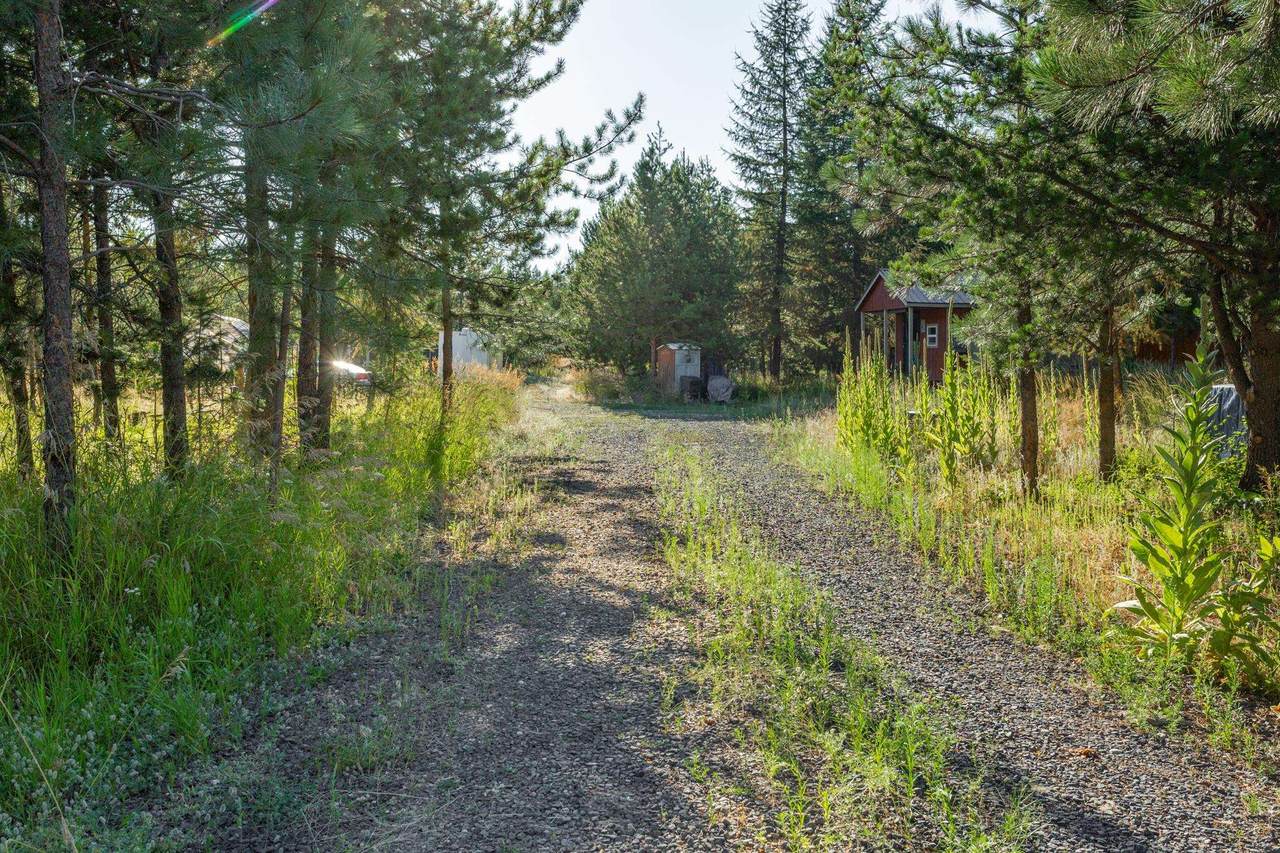 35221 Wisteria Ln - Photo 1