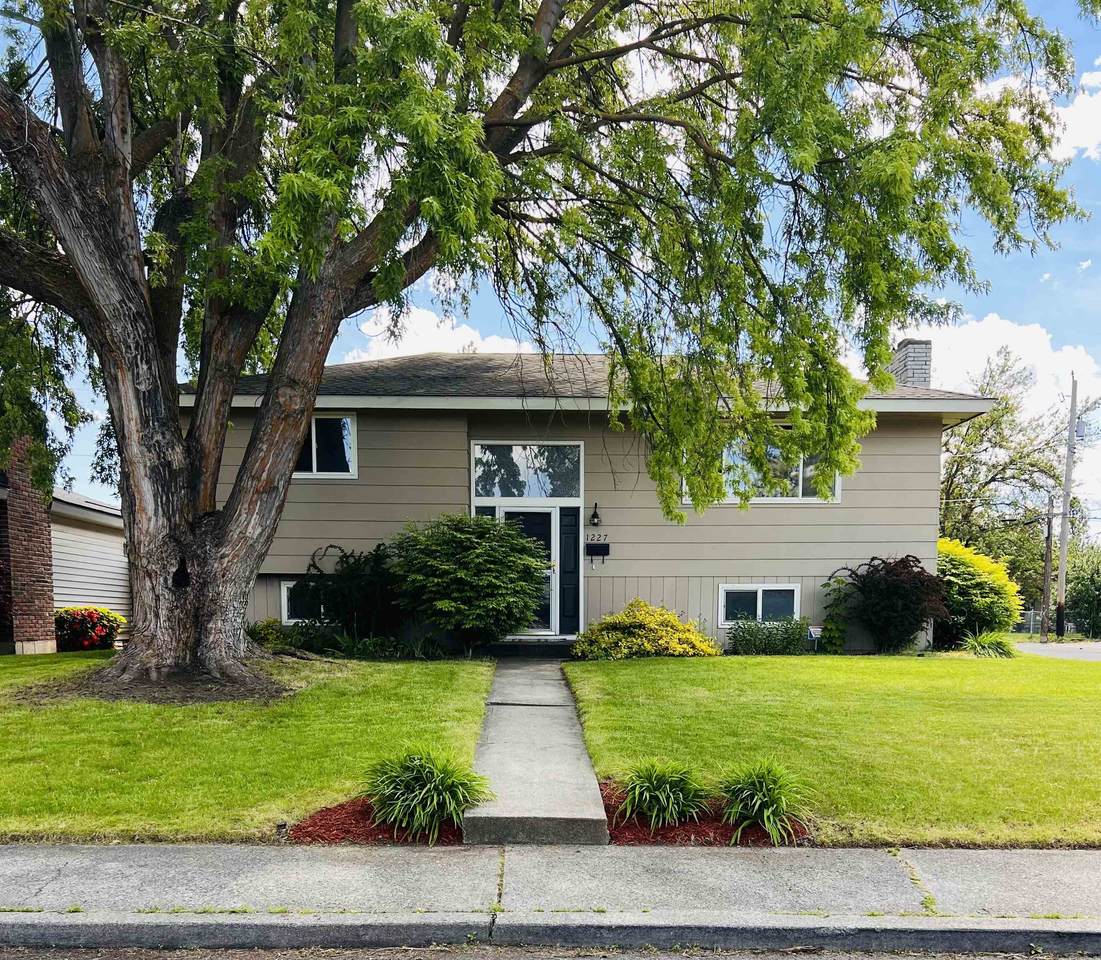 1227 Columbia Ave - Photo 1