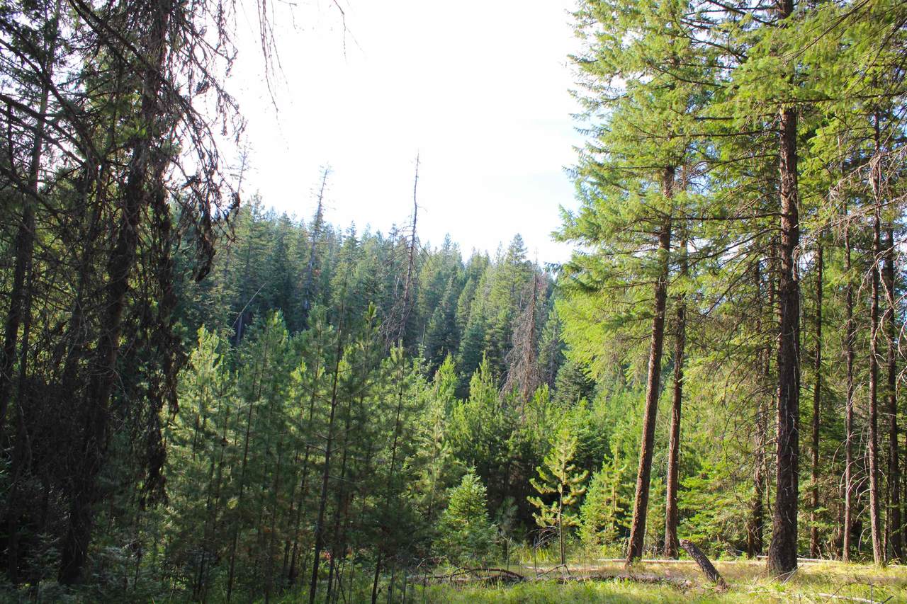 000-Lot 5 Allen Rd - Photo 1
