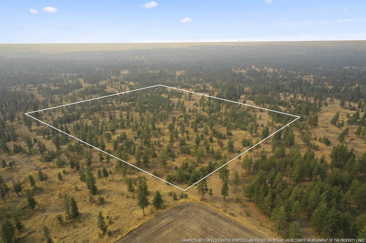 xxxx Vacant Land Rd - Photo 1