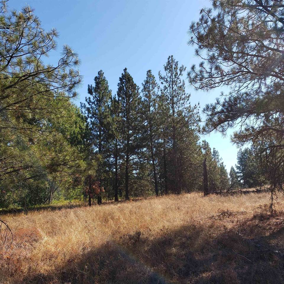 XXXX Burroughs Rd - Photo 1